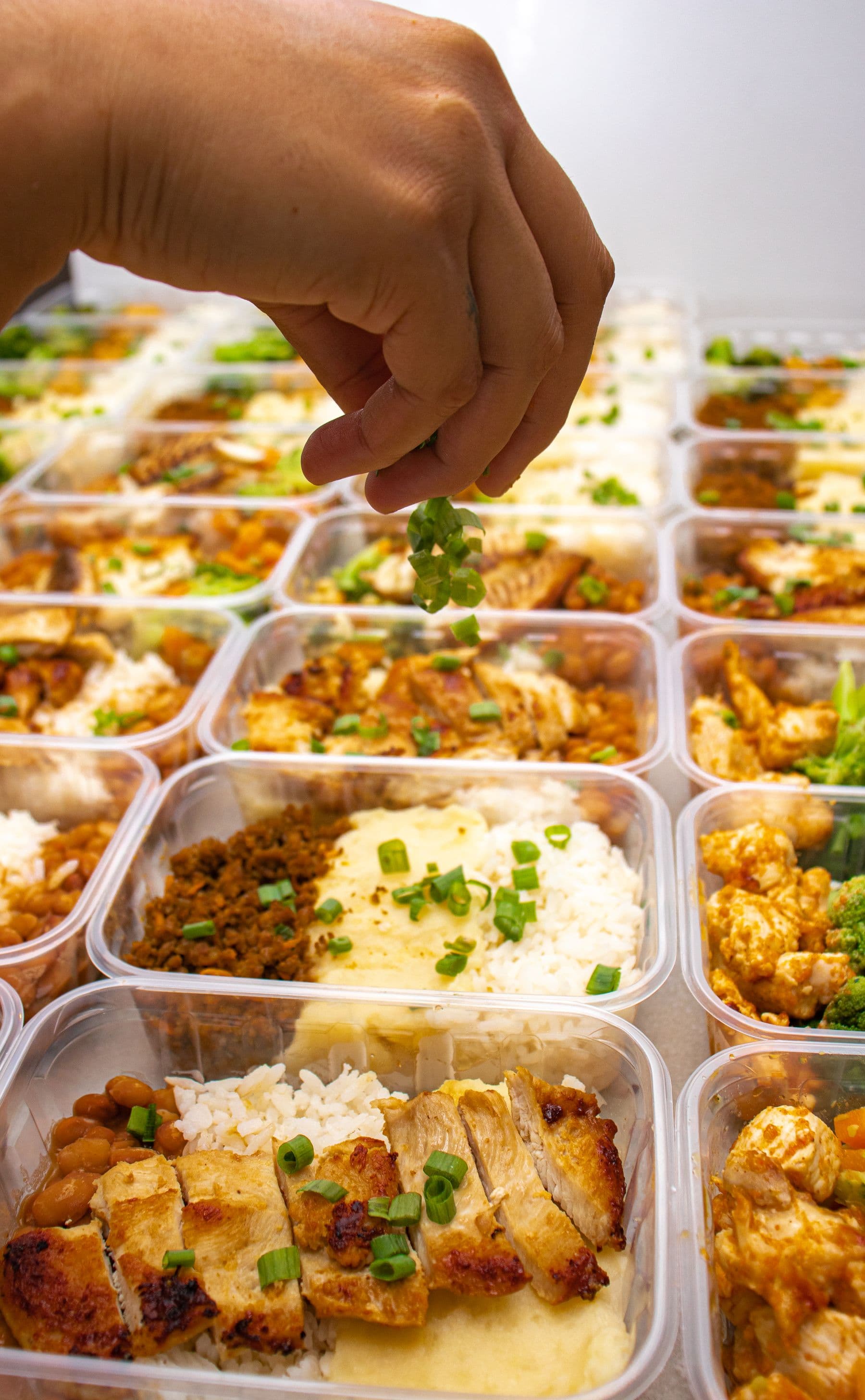 Prepared meals being organised into containers